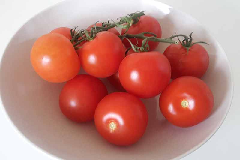 Tomaten in Schale fürs Kochen