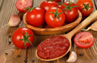 Tomatensosse - die Zutaten